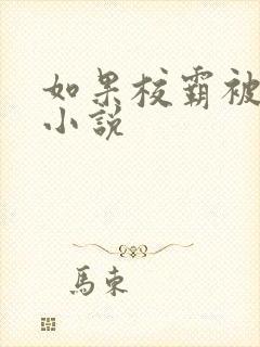 如果校霸被玩弄小说