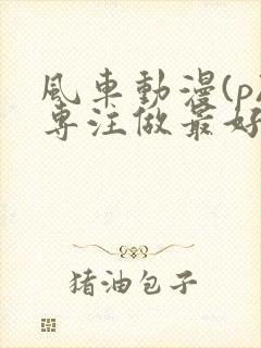 风车动漫(p)专注做最好的动漫门户网封面