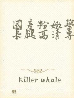 国产粉嫩学生大长腿高清专区封面