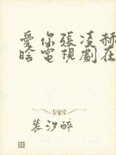 爱你张凌赫徐若晗电视剧在线观看