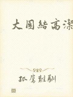 大团结高洁封面