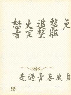 怒火追击免费观看完整版