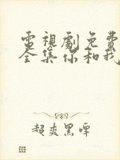 电视剧免费观看全集你和我的倾城时光封面