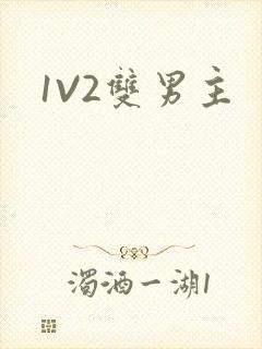 1V2双男主