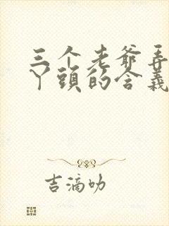 三个老爷弄一个丫头的含义封面