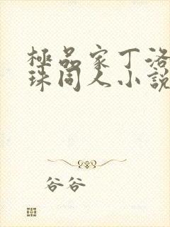 极品家丁洛神凝珠同人小说