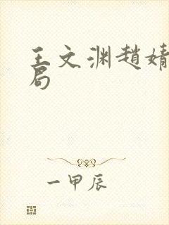 王文渊赵婧大结局