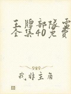 王牌部队电视剧全集40免费观看封面