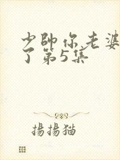 少帅你老婆又跑了第5集