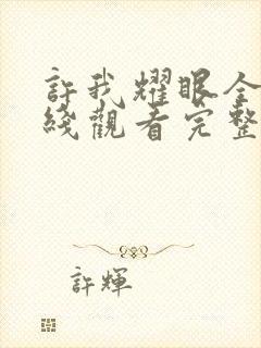 许我耀眼全集在线观看完整版免费