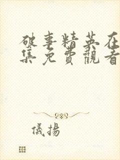 破事精英在线全集免费观看完整版封面