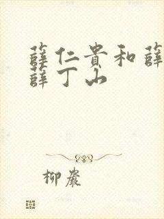 薛仁贵和薛平贵薛丁山