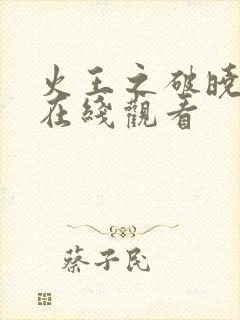 火王之破晓之战在线观看封面