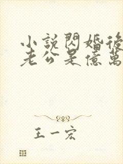 小说闪婚后发现老公是亿万富豪免费阅读