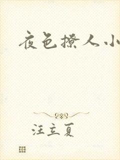 夜色撩人小说