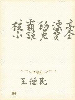 校霸的漂亮继父小说免费全文阅读