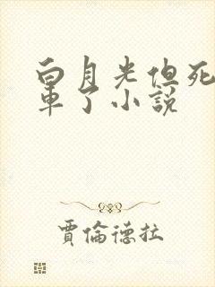 白月光但死遁翻车了小说