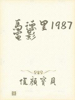 马德里1987电影