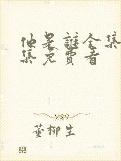 他是谁全集24集免费看