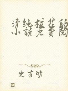 清纯校花的秘密小说免费阅读