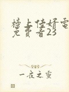 榜上佳婿电视剧免费看23