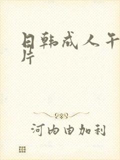 日韩成人午夜毛片