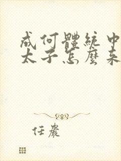 成何体统中的小太子怎么来的封面