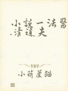 小说一法医秦明.清道夫封面