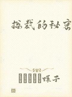 总裁的秘密情人