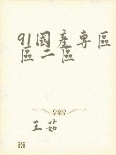 91国产专区一区二区