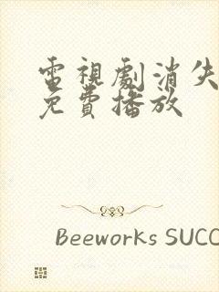 电视剧消失的她免费播放