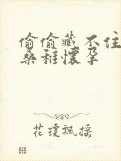 偷偷藏不住番外桑稚怀孕封面