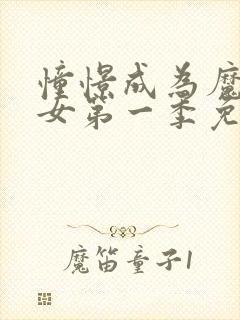 憧憬成为魔法少女第一季免费观看封面