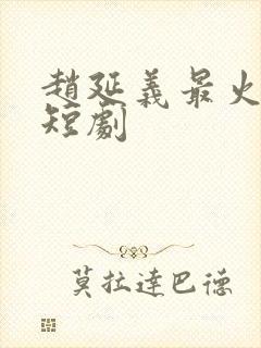 赵延义最火十部短剧