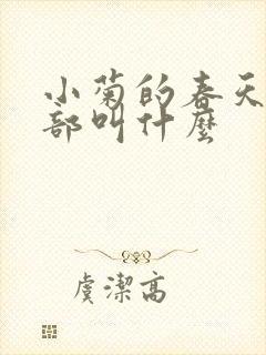 小菊的春天第二部叫什么