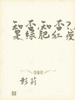 知否,知否?应是绿肥红瘦是什么意思封面