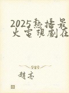 2025热播最火电视剧在线观看封面