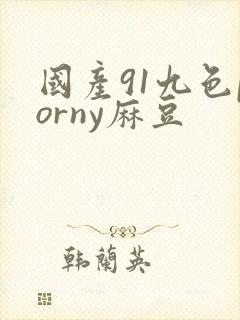 国产91九色porny麻豆