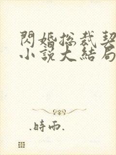 闪婚总裁契约妻小说大结局