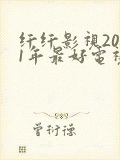 纤纤影视2021年最好电视剧功