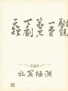 天下第一驸马爷短剧免费观看