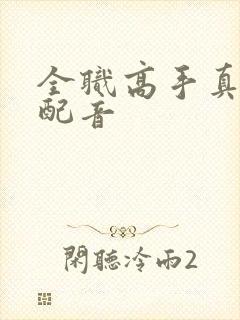 全职高手真人版配音封面