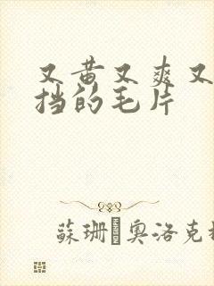 又黄又爽又无遮挡的毛片