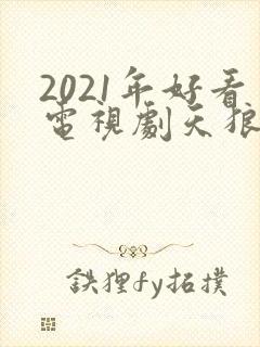 2021年好看电视剧天狼影视