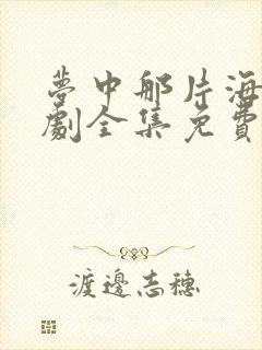 梦中那片海电视剧全集免费