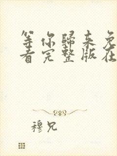 等你归来免费观看完整版在线全集