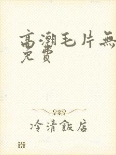 高潮毛片无遮挡免费