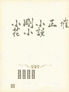 小刚小正催眠校花小说封面