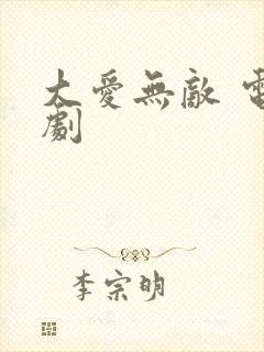 大爱无敌 电视剧封面