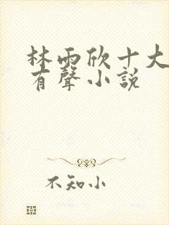 林雨欣十大经典有声小说